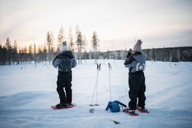 Aventura de caminhada com raquetes de neve de meio dia em Levi Lapland