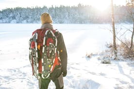 Escursione invernale con le ciaspole da Stoccolma