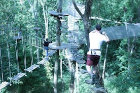 Tree Top Adventure in Rueil-Malmaison 