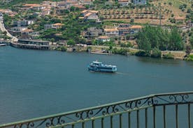 Boottocht naar Régua via de Dourovallei met ontbijt en lunch