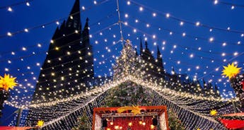 Rhine Holiday Markets (2025) (Basel to Cologne, 2025)