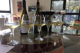 Private Tasting in Beaune : The Best of Burgundy Wines