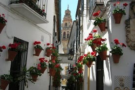 Privat turné: Cordoba Walking Tour med Skip-the-line biljetter