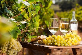 Excursão turística ao mercado provençal e degustação de vinhos