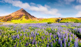 Panoramic view of Reykjavik, the capital city of Iceland, with the view of harbor and mount Esja.