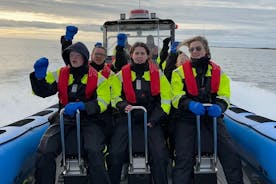 Observação de baleias - aventura de barco RIB em Kopavogur, Islândia