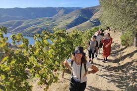 Douro Valley Premium Tours - privéchauffeur en gids