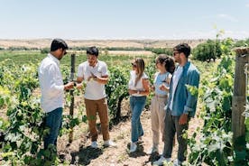 Toledo City Tour & Winery Experience med vinprovning från Madrid
