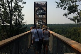 Escursione di un giorno al Parco regionale Anyksciai per piccoli gruppi da Vilnius