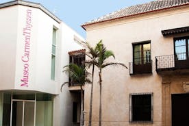 Museo Carmen Thyssen de Malaga Entreeticket