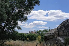 Half-Day Private Tour of Escorial with Pick Up