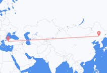 Flyrejser fra Changchun, Kina til Eskişehir, Tyrkiet