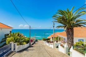 Photo of aerial view of Ericeira, Portugal.