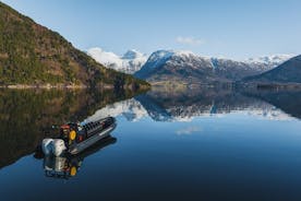 Excursão RIB privada às ilhas Hardangerfjord saindo de Rosendal