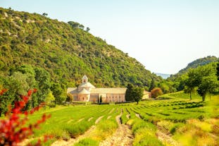 Abbaye Notre-Dame de Sénanque