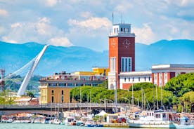 Naples, Italy. View of the Gulf of Naples from the Posillipo hill with Mount Vesuvius far in the background and some pine trees in foreground.