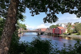 Trondheim: Discover the city of kings with a local guide