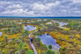 De Riga: o melhor do Parque Nacional Kemeri em um dia