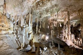 Tagestour zur Postojna-Höhle ab Ljubljana