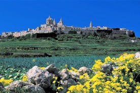 Malta Guided Day Trip: Mdina, Rabat, Dingli, San Anton, Ta' Qali & Mosta Tour