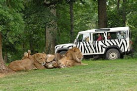 Privat returoverførsel Thoiry Zoo Safari fra Paris