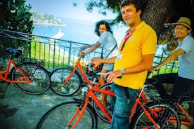 Excursão guiada de bicicleta elétrica essencial em Nice