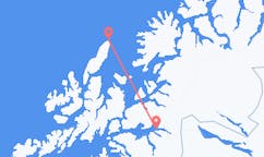 Flights from Andenes to Narvik