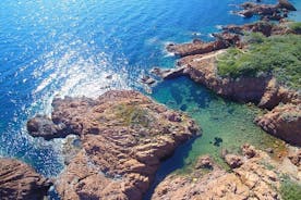 Escursioni Scoperta di snorkeling di Estérel e delle sue isole!