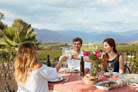 Excursão para amantes de comida e vinho no campo do Etna (pequeno grupo)