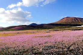 Tilpassede private turer på øya Lanzarote