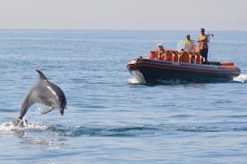 Dolphin Safari and Cave Tour from Vilamoura