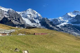 Desde Basel Small Group - Jungfraujoch (Top of Europe) y la región de Interlaken