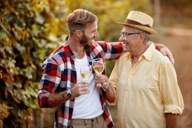 Tour privato a piedi nel vigneto di Baden Neuweirs