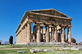 Privétour van een hele dag - Tempels van Paestum en ruïnes van Pompeii