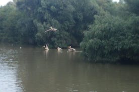 Daily Tours in the Danube Delta, boat cruise Camely.