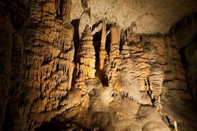 Excursão privada a Caverna de Postojna e Castelo de Predjama de Bled