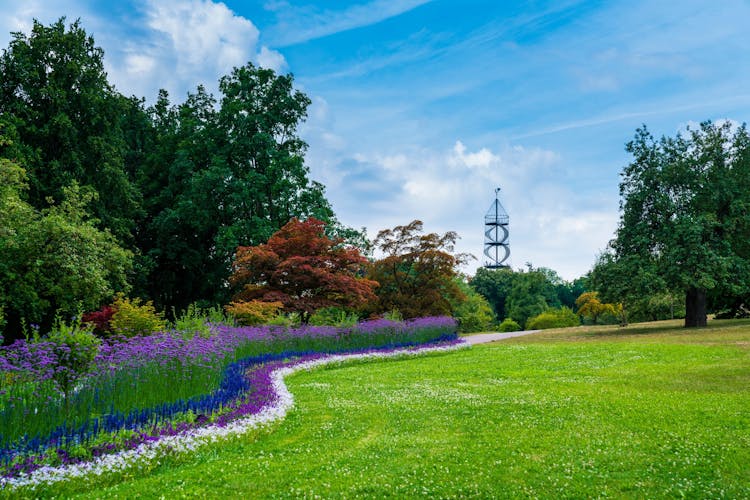 Photo of Germany, Stuttgart city district killesberg urban park colorful flowers and killesbergturm tower.
