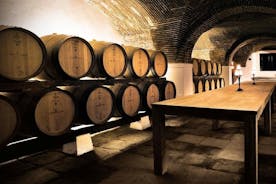 Private Tour Full Day in Évora with wine tasting: in Mercedes