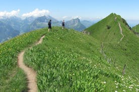 Randonnée privée d’un sommet à l’autre avec transport au départ de Lucerne