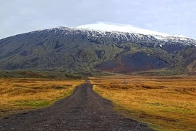 Excursion privée d'une journée dans la péninsule de Snæfellsnes - jusqu'à 9 passagers