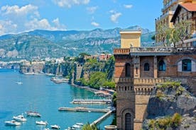 Privat heldagstur till Ischia med lokal matsmakning och Aragonese slott
