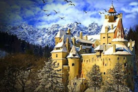 Privat dagstur till Transsylvanien: Draculas slott, kungliga palatset, Brasovs gamla stadsdel