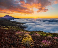 Photo of aerial view of beautiful landscape with Santa Cruz, capital of Tenerife, Canary island, Spain.