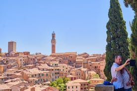 Excursão de degustação de vinhos por Siena, San Gimignano, Monteriggioni e Chianti partindo de Florença