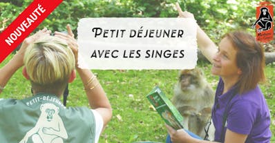 La Montagne des Singes