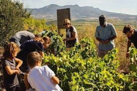 Oogstervaring in Rioja, wijnstreek