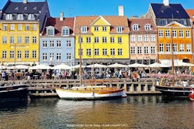 The Best of Copenhagen: Private Half-Day Highlights Walking Tour