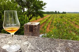Excursão privada de um dia a partir de Cognac: vinhedos e destilarias artesanais com degustações