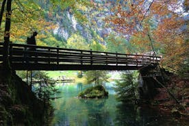 Lago Blu e lago Öschinen - Giro di un giorno privato da Interlaken