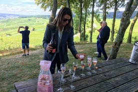 Champagne liten grupp vindagstur med vinprovningar och lunch